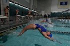 Swimming vs Babson  Wheaton College Swimming vs Babson College. - Photo By: KEITH NORDSTROM : Wheaton, Swimming, Babson